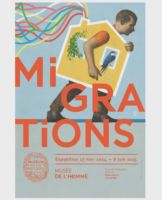 Migration-copie.webp