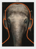 NewYorker-ElephantFinal.webp